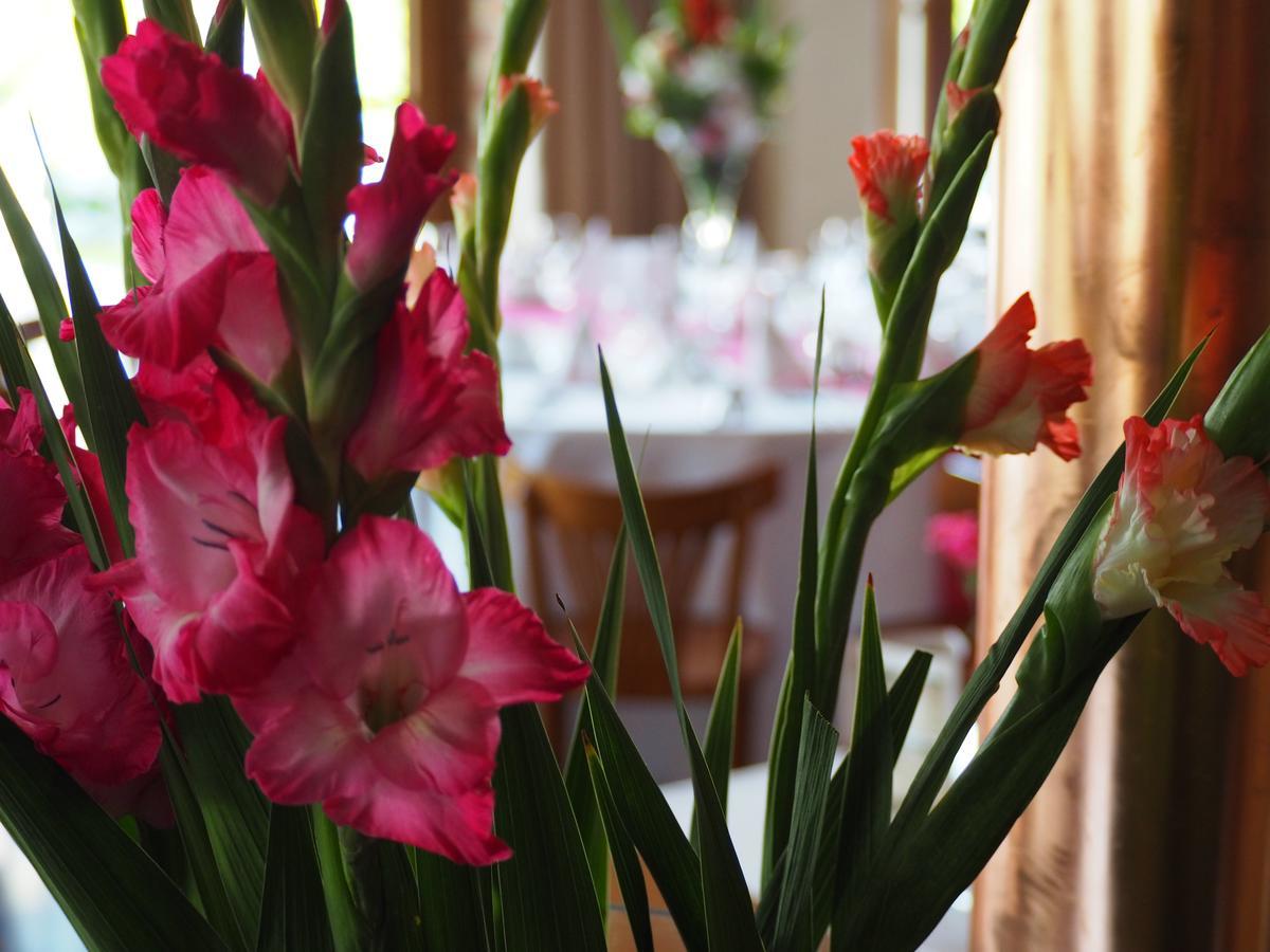 Hotel Spichlerz Lubawa מראה חיצוני תמונה